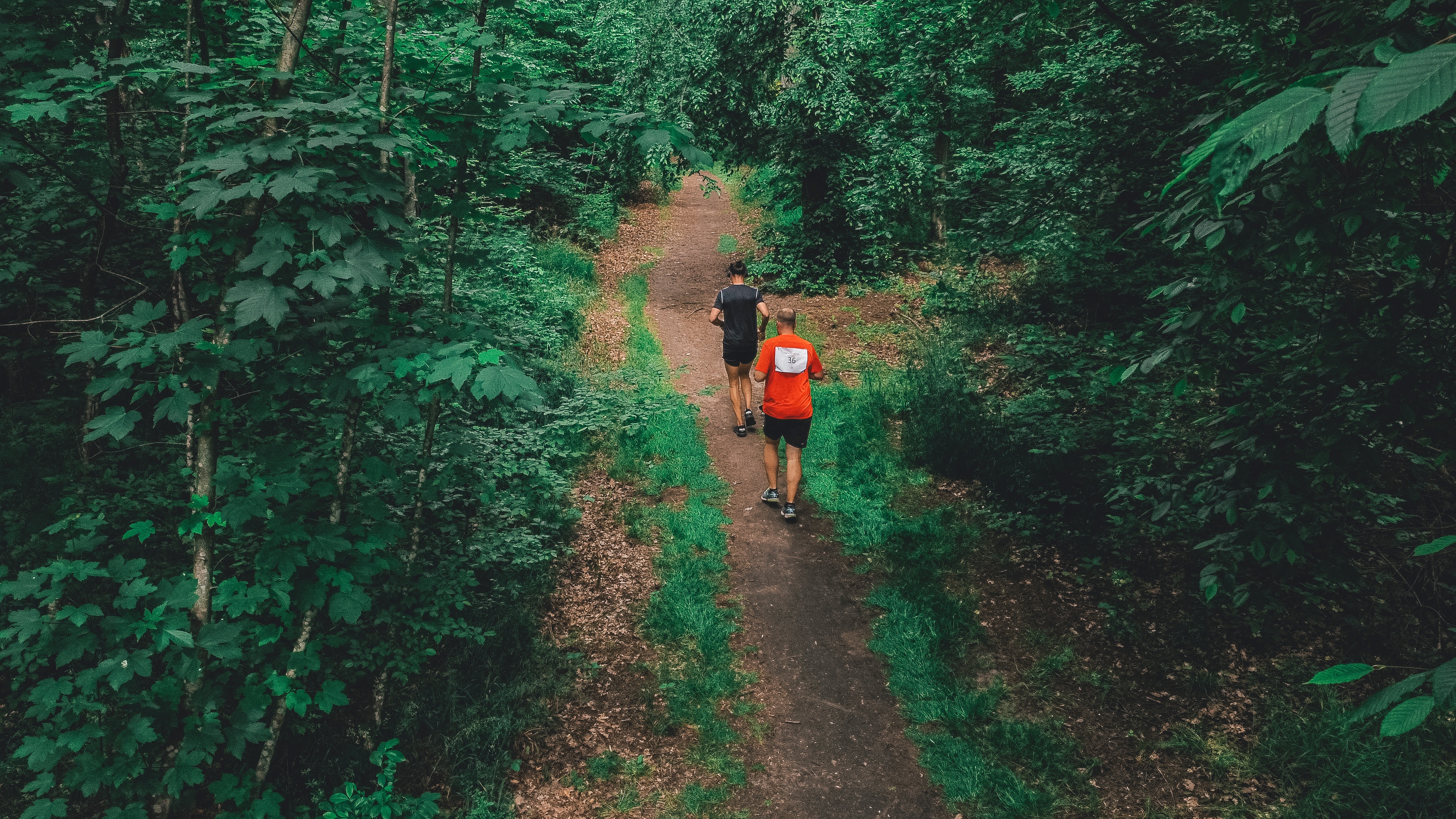 2 Läufer von oben fotografiert laufen durch den Wald